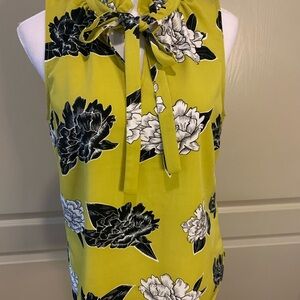 Coreylynn Calter by Anthropologie Sleeveless Neck Tie Blouse 6